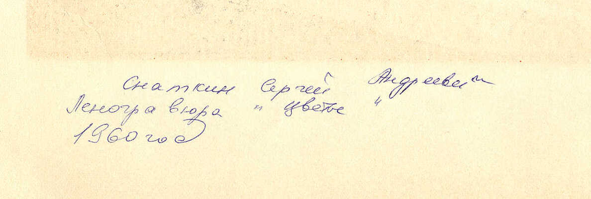 Снаткин Сергей Андреевич. Цветы 